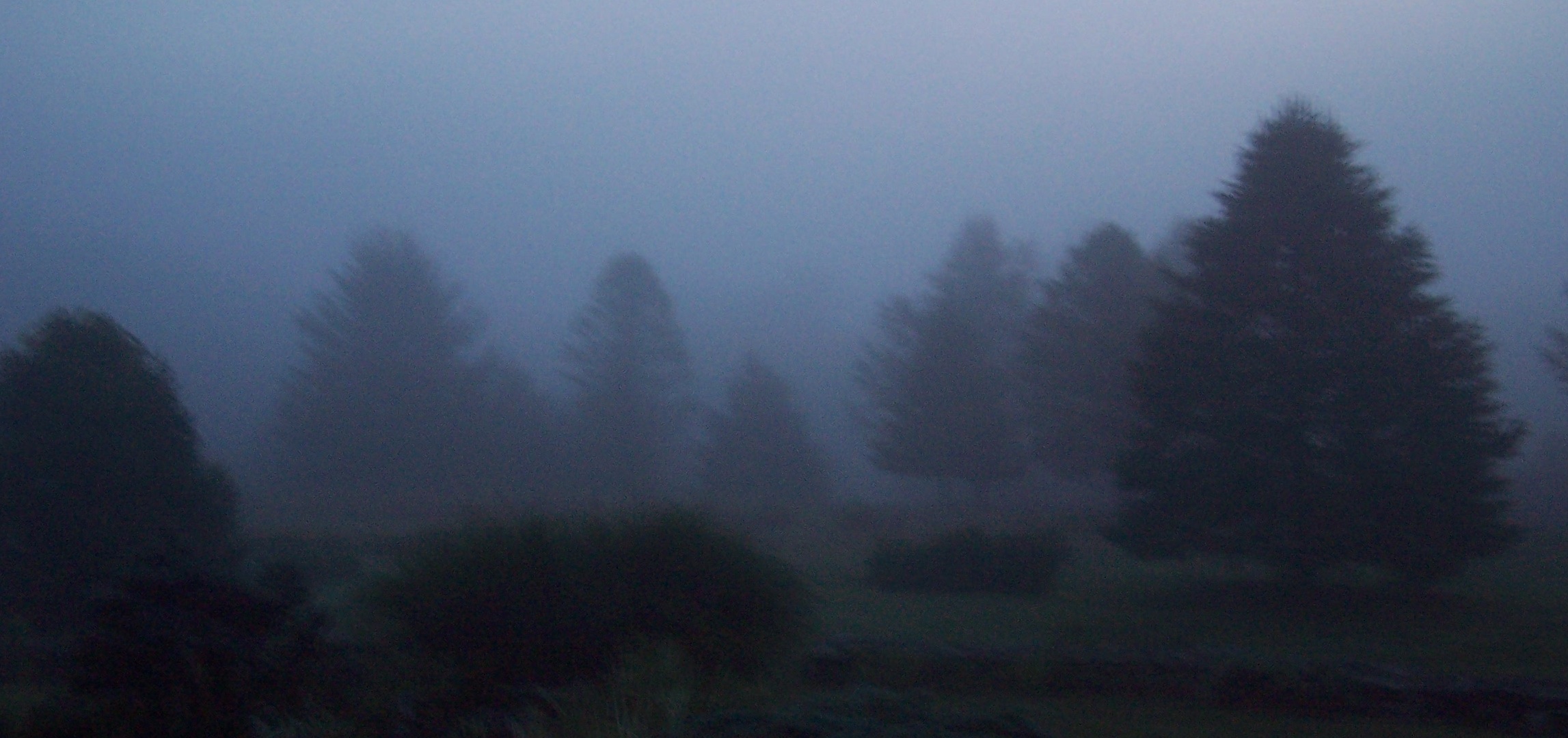 fog-blog.jpg